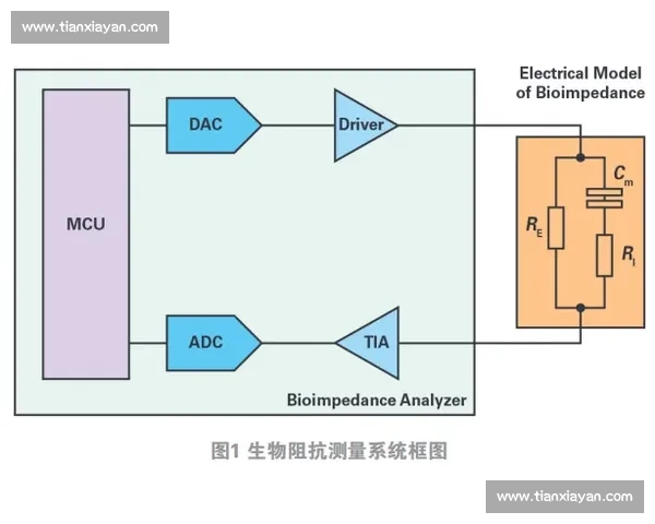 皇马 AI 医疗革命：生物电阻抗与代谢组学重塑伤病预防体系